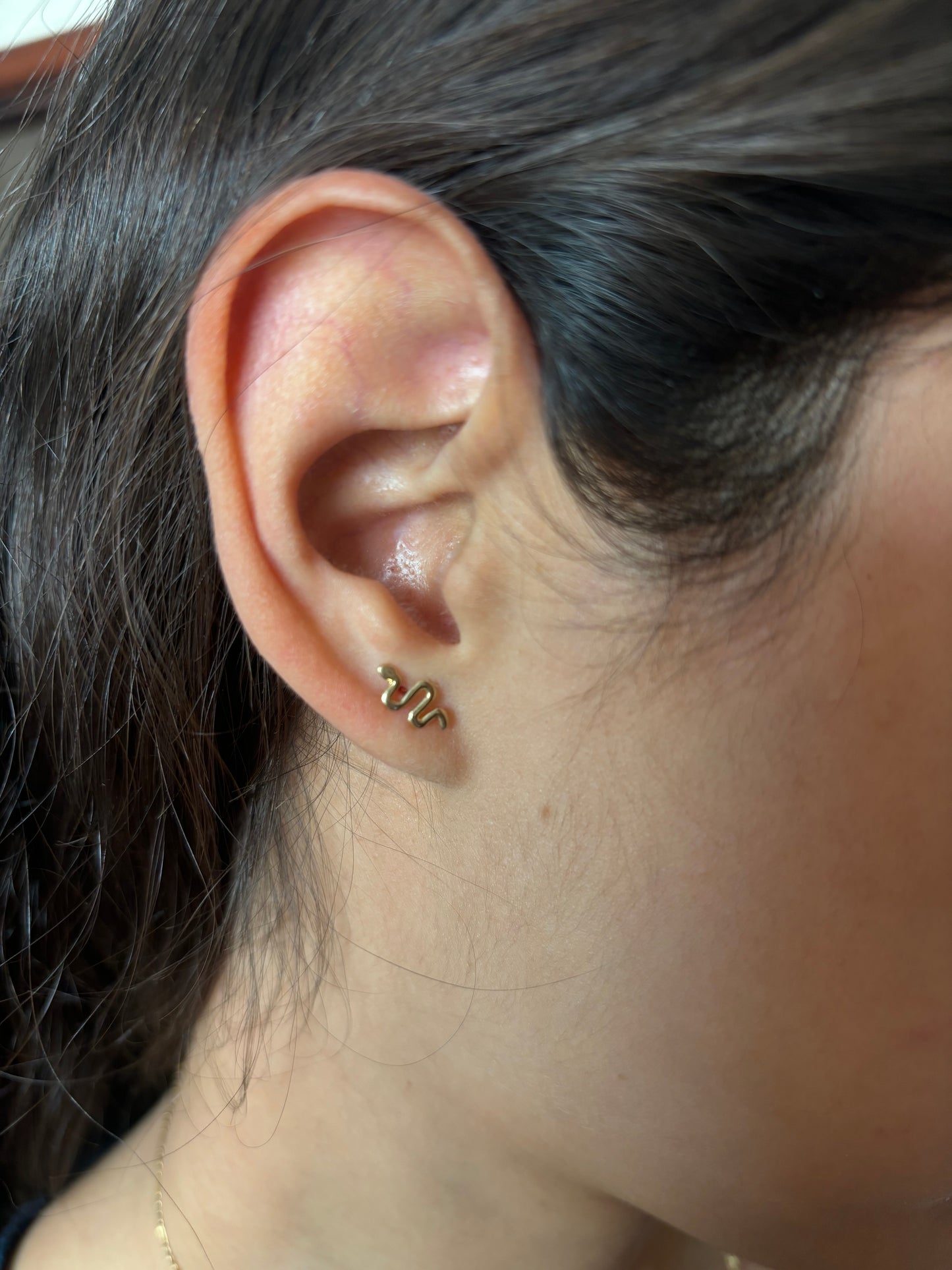 Broquel Serpiente 10k