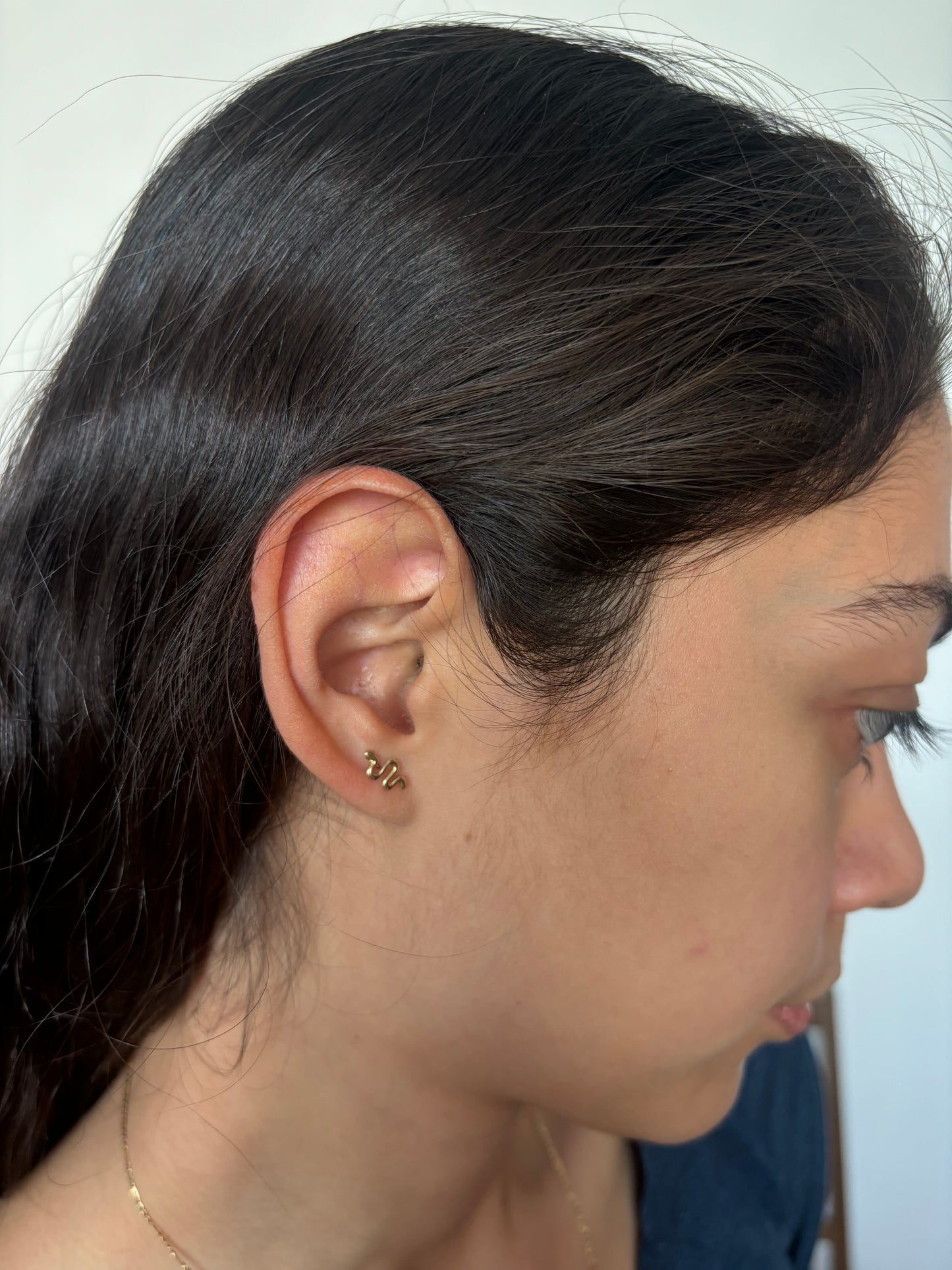 Broquel Serpiente 10k