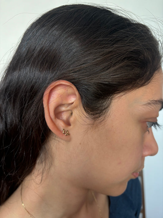 Broquel Serpiente 10k