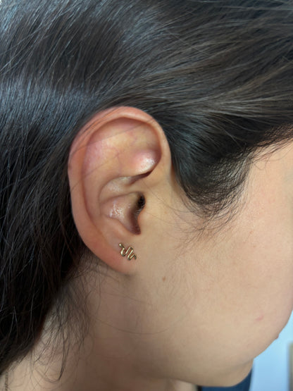 Broquel Serpiente 10k